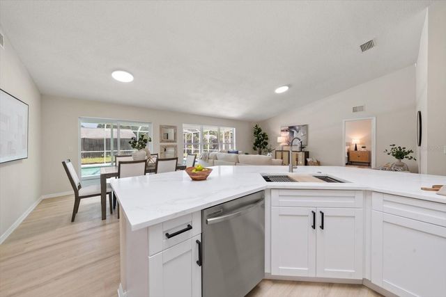 5423 WINDBRUSH DRIVE, Tampa, FL 33625