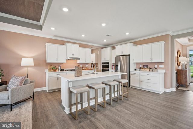 24030 WEST CYPRESS WAY, Milton, DE 19968