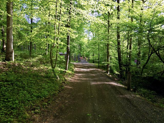 3975 Jarman Hollow Rd, Palmyra, TN 37142