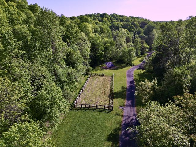 3975 Jarman Hollow Rd, Palmyra, TN 37142