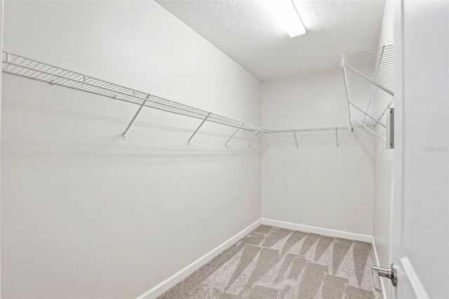 6617 CITRUS CREEK LANE, Tampa, FL 33625