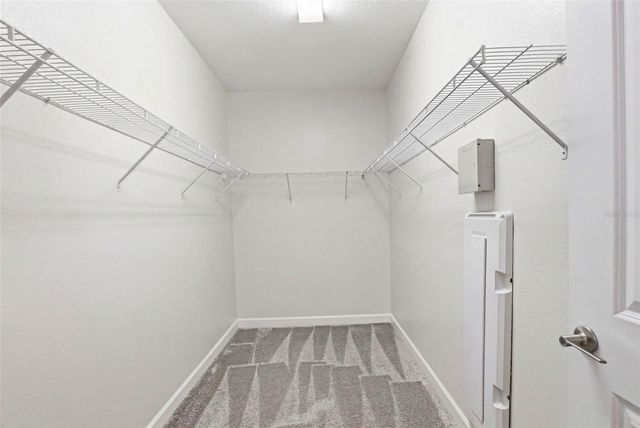 6617 CITRUS CREEK LANE, Tampa, FL 33625