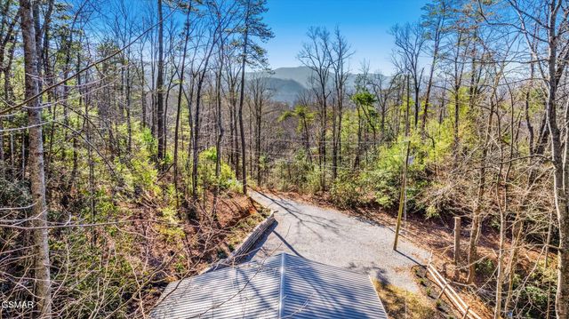 1137 Old Cartertown Road, Gatlinburg, TN 37738