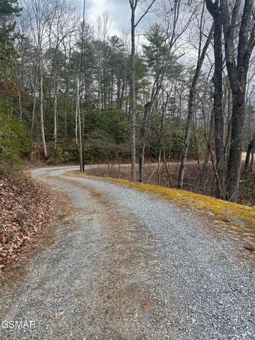 1137 Old Cartertown Road, Gatlinburg, TN 37738