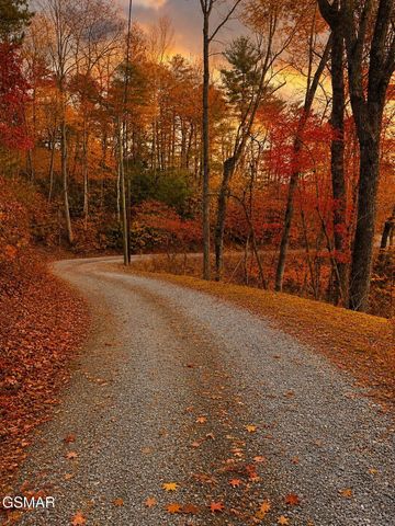 1137 Old Cartertown Road, Gatlinburg, TN 37738