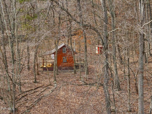 2218 Rebel Hollow Road, Tazewell, TN 37879