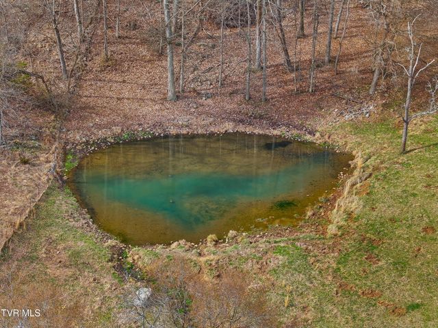 2218 Rebel Hollow Road, Tazewell, TN 37879