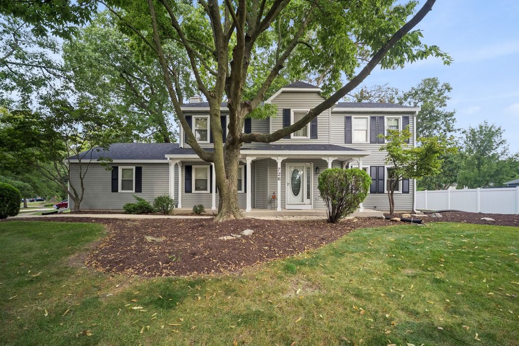 726 Dorchester Drive, Bolingbrook, IL 60440 — photo 3