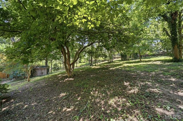 424 Belleview Avenue, Webster Groves, MO 63119