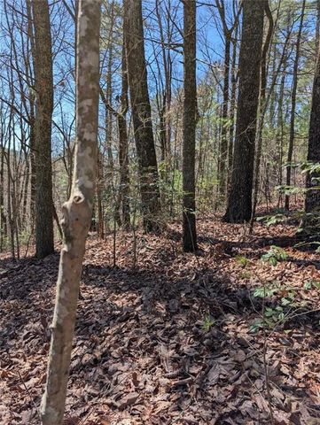 0 Amber Lane, Ellijay, GA 30540