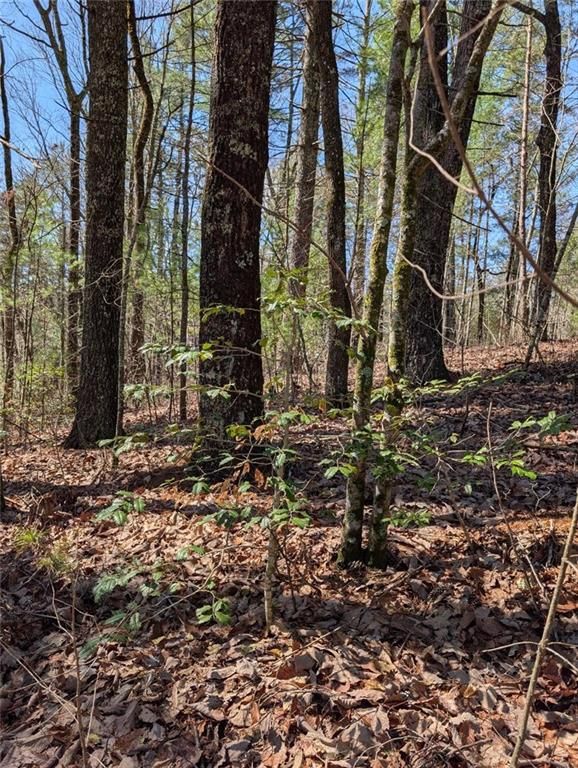 0 Amber Lane, Ellijay, GA 30540