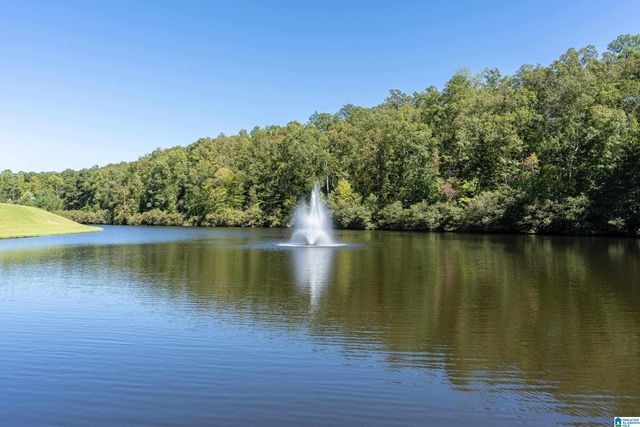 414 CHESSER PLANTATION LANE, Chelsea, AL 35043