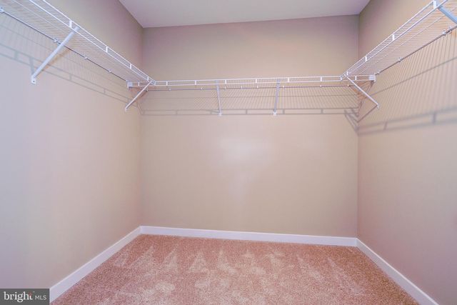 203 CASE RD, Townsend, DE 19734