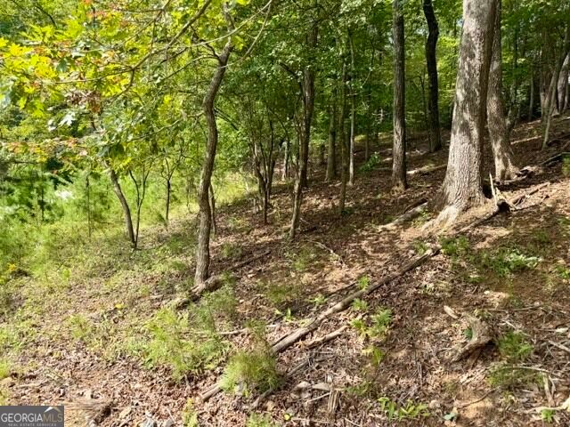 40 Madeline Anthony Road, Dahlonega, GA 30533