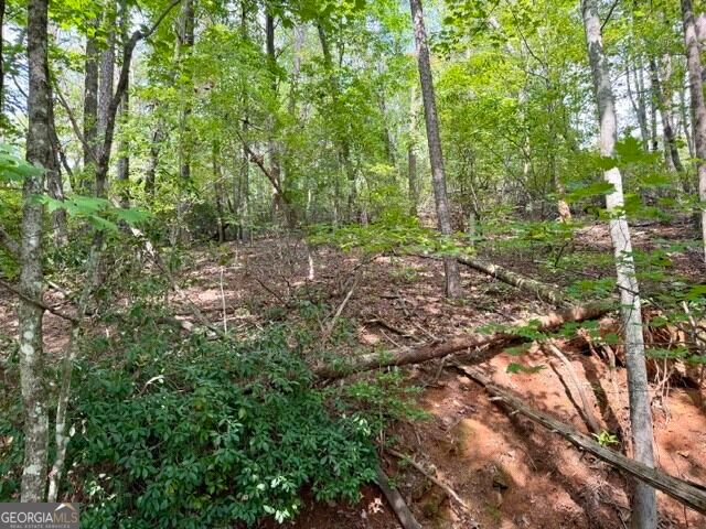 40 Madeline Anthony Road, Dahlonega, GA 30533