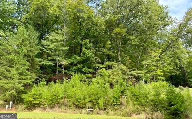 40 Madeline Anthony Road, Dahlonega, GA 30533