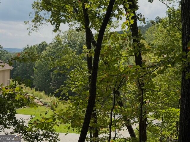 40 Madeline Anthony Road, Dahlonega, GA 30533