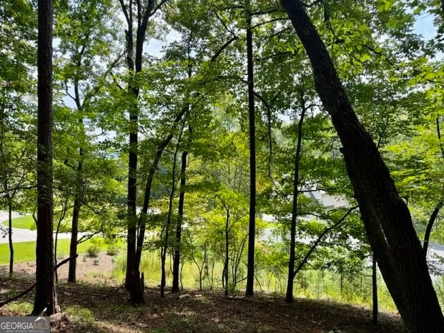 40 Madeline Anthony Road, Dahlonega, GA 30533