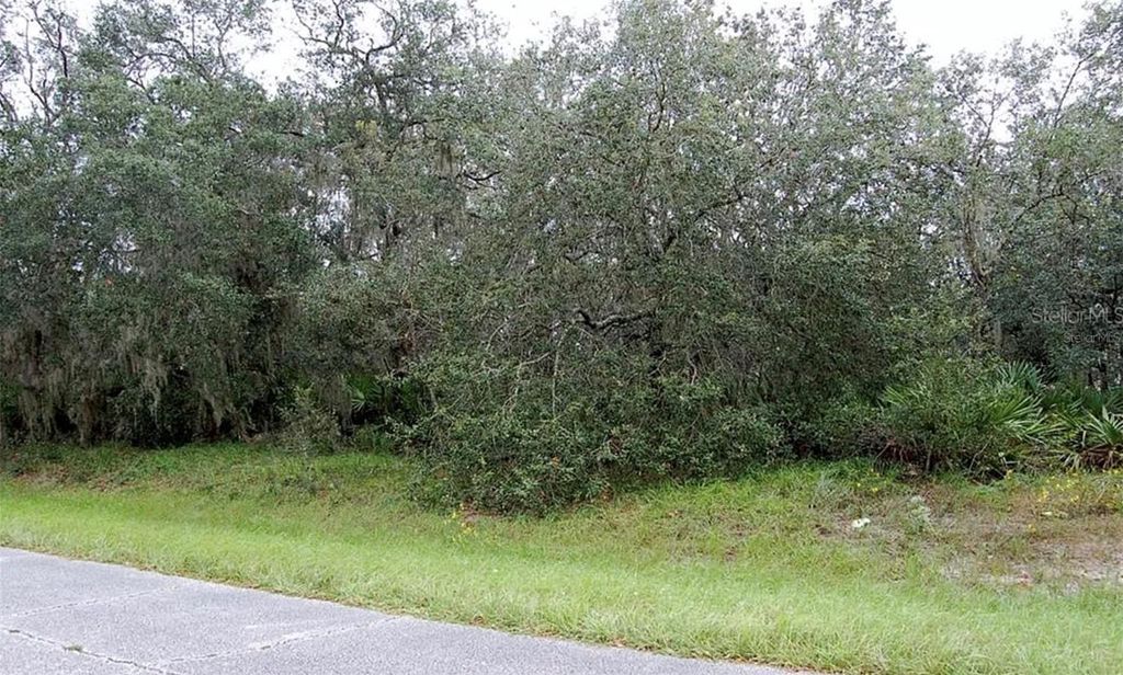 0 ST JOHNS COURT, Poinciana, FL 34759