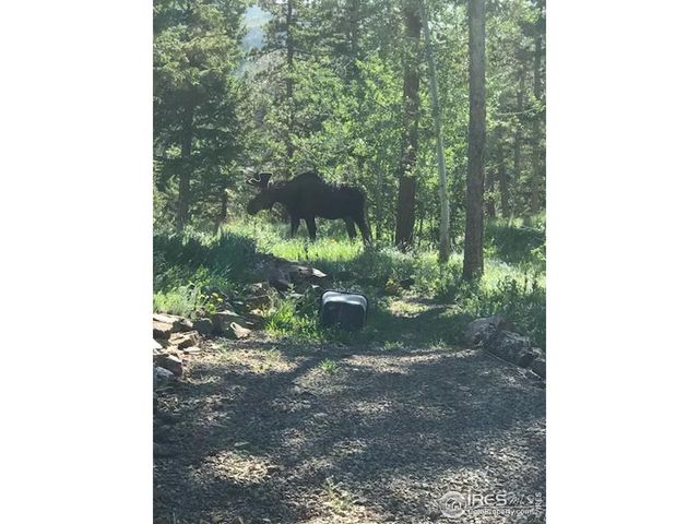 98 Rim Rd, Boulder, CO 80302