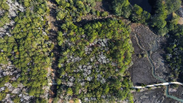 3733 N Highway 17 Highway Tract 2, Mcclellanville, SC 29458