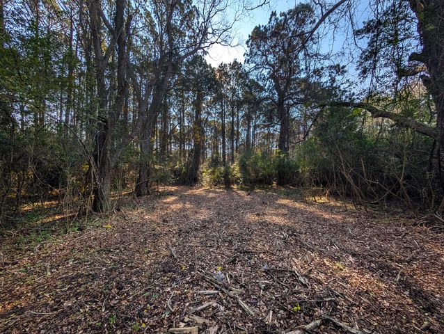 3733 N Highway 17 Highway Tract 2, Mcclellanville, SC 29458