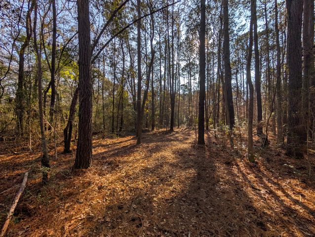 3733 N Highway 17 Highway Tract 2, Mcclellanville, SC 29458