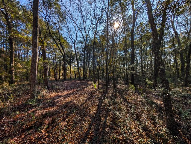3733 N Highway 17 Highway Tract 2, Mcclellanville, SC 29458