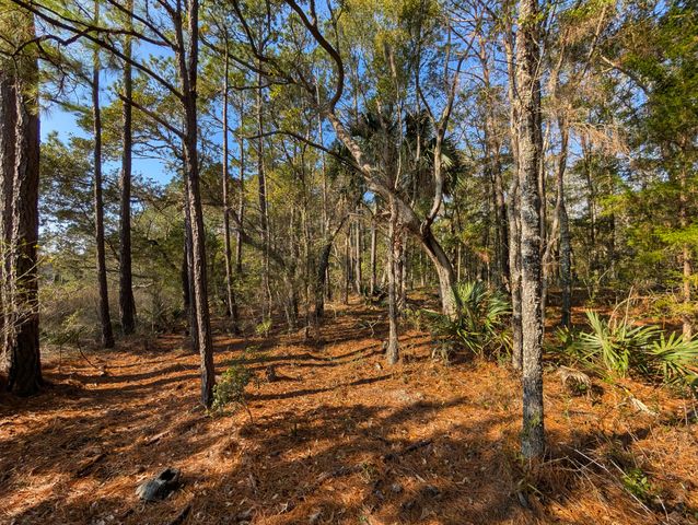 3733 N Highway 17 Highway Tract 2, Mcclellanville, SC 29458