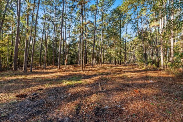 0 Fm 1485, Huffman, TX 77357