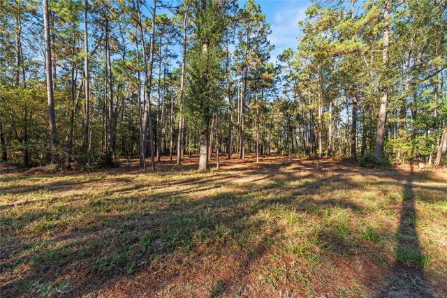 0 Fm 1485, Huffman, TX 77357