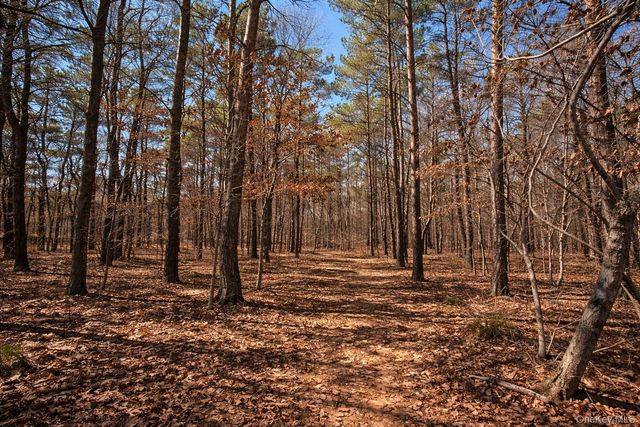 4 Mews Court, Holtsville, NY 11742