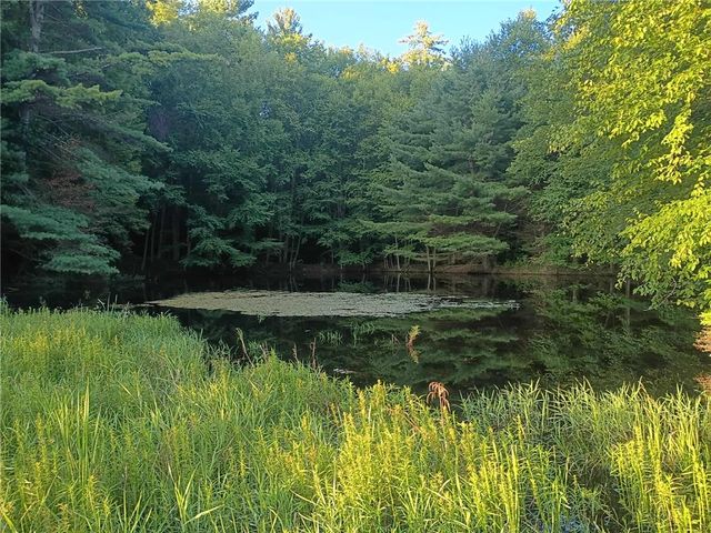 194 Newton Town Road, Bainbridge, NY 13733