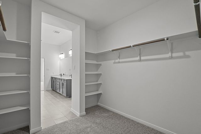 42663 Reminiscent Lane, Magnolia, TX 77354