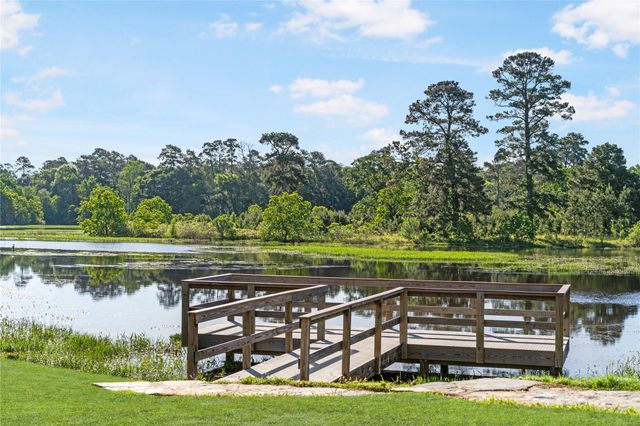 42663 Reminiscent Lane, Magnolia, TX 77354