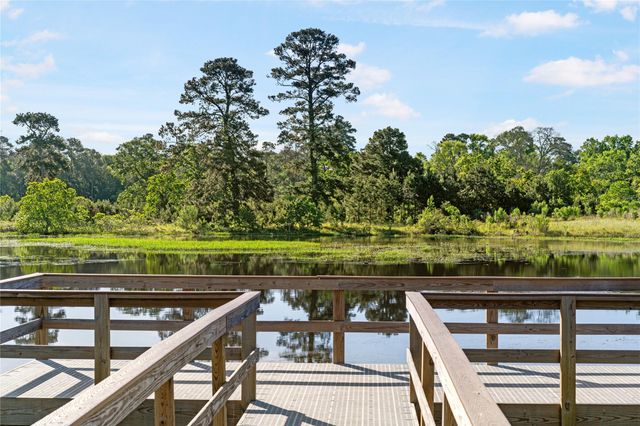 42663 Reminiscent Lane, Magnolia, TX 77354