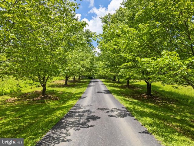 156 BEAR WALLOW RD, Huntly, VA 22640