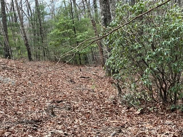 Lot 33 Sahkanaga Drive, Murphy, NC 28906