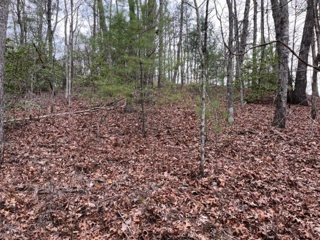 Lot 33 Sahkanaga Drive, Murphy, NC 28906