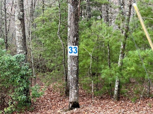 Lot 33 Sahkanaga Drive, Murphy, NC 28906