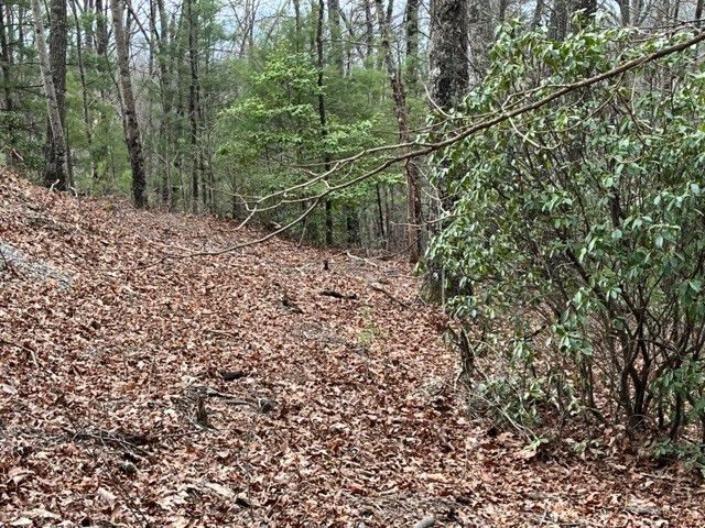 Lot 33 Sahkanaga Drive, Murphy, NC 28906