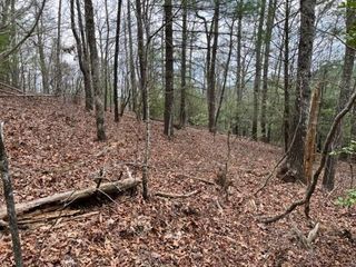 Lot 33 Sahkanaga Drive, Murphy, NC 28906