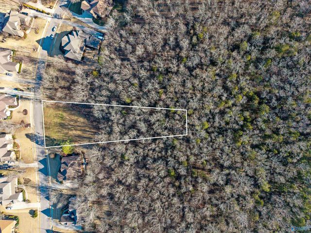 253 Wedgewood Terrace Road, Madison, AL 35757