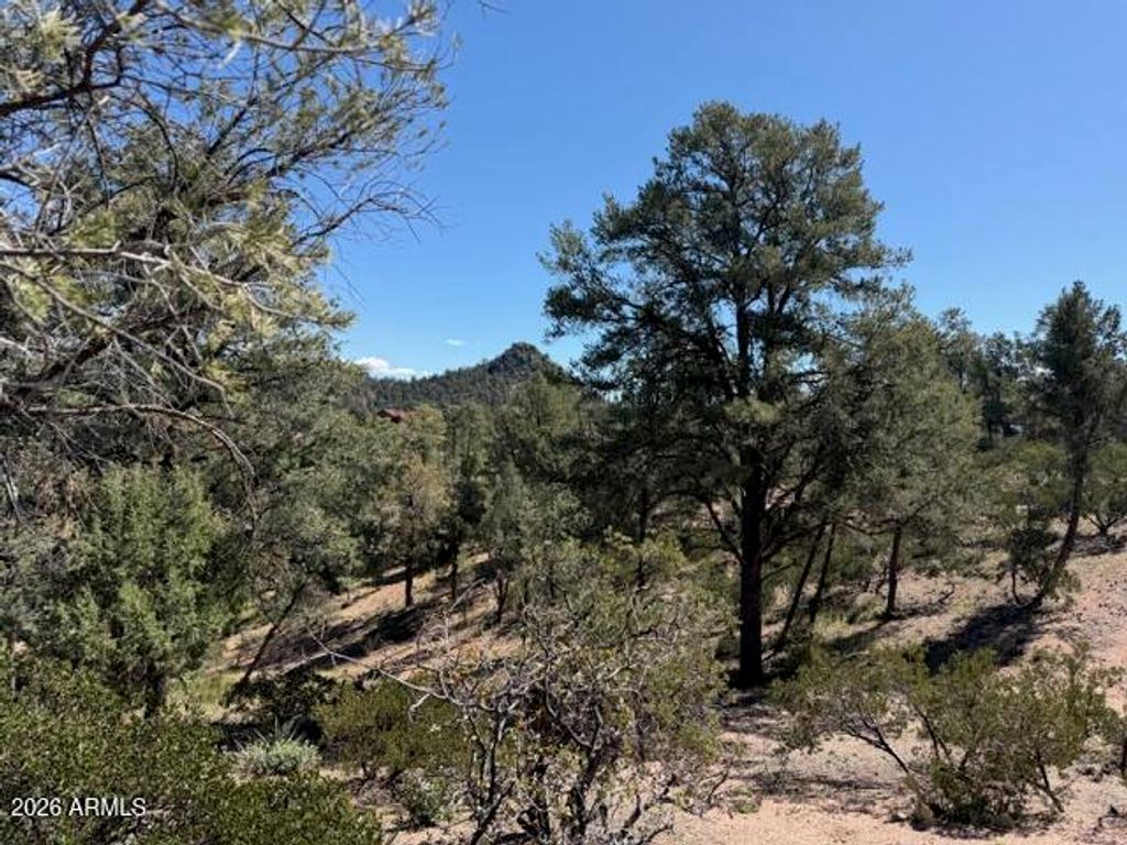 Image 12 of property listing at 704 S Prestwick -- 140, Payson, AZ 85541