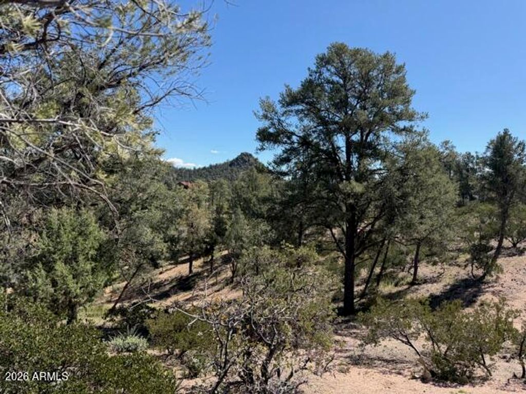 Image 13 of property listing at 704 S Prestwick -- 140, Payson, AZ 85541