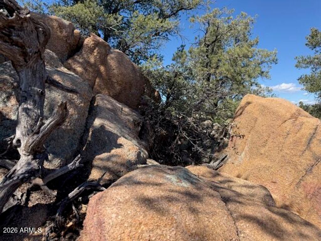 Image 25 of property listing at 704 S Prestwick -- 140, Payson, AZ 85541