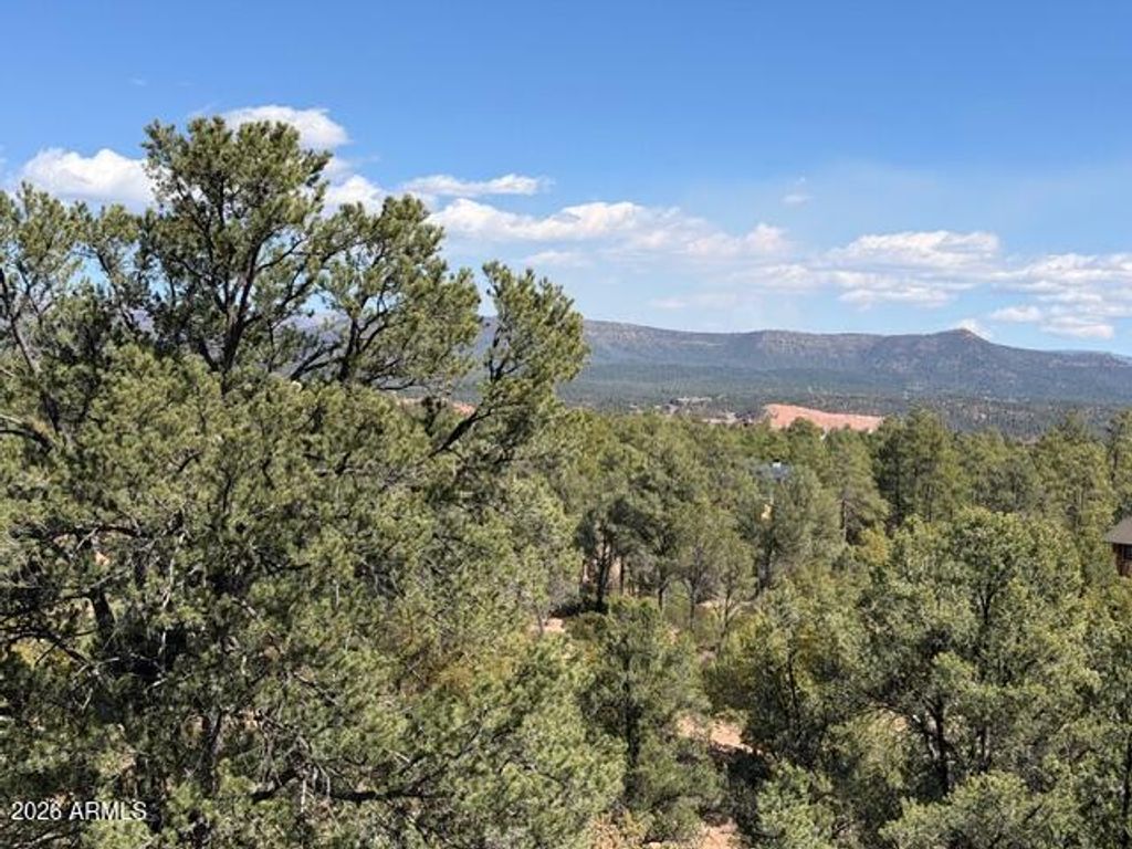 Image 31 of property listing at 704 S Prestwick -- 140, Payson, AZ 85541