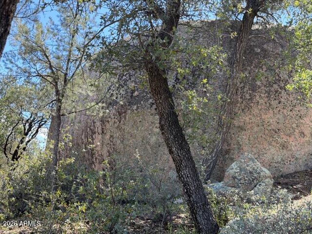 Image 46 of property listing at 704 S Prestwick -- 140, Payson, AZ 85541