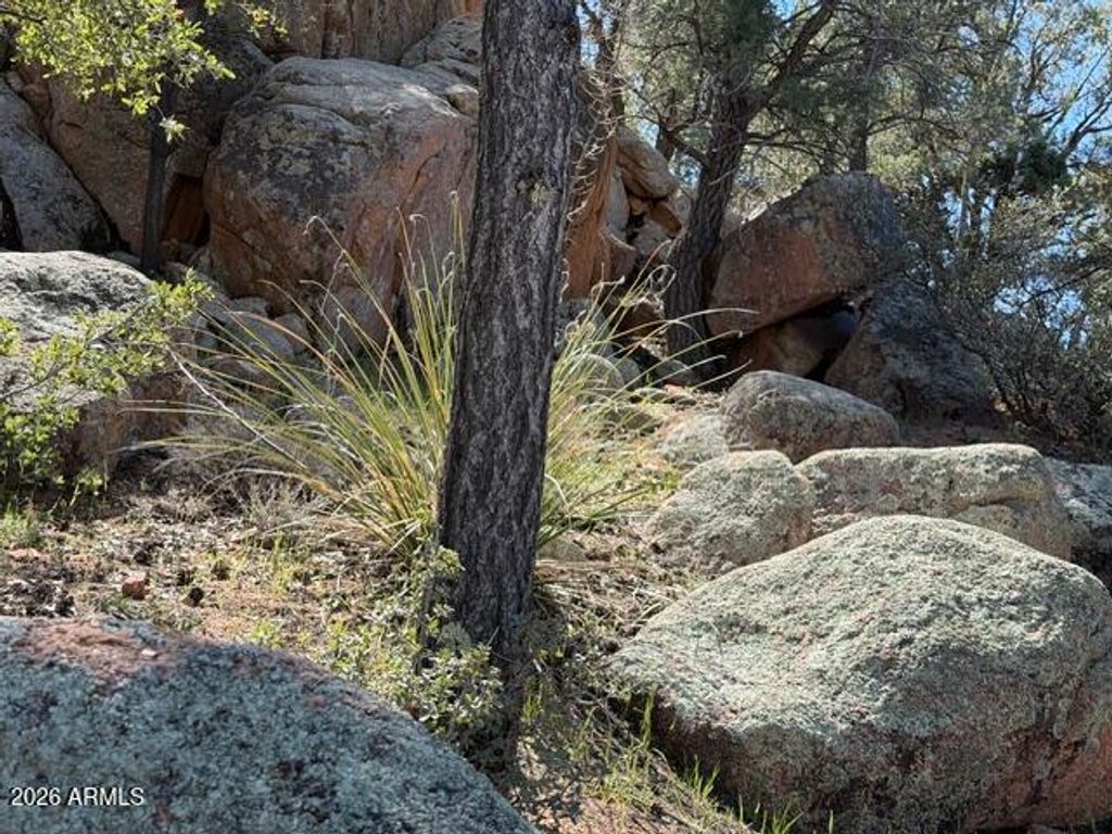 Image 47 of property listing at 704 S Prestwick -- 140, Payson, AZ 85541