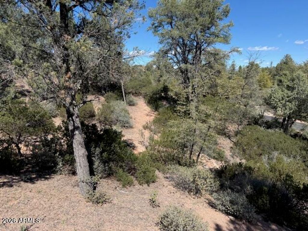 Image 51 of property listing at 704 S Prestwick -- 140, Payson, AZ 85541